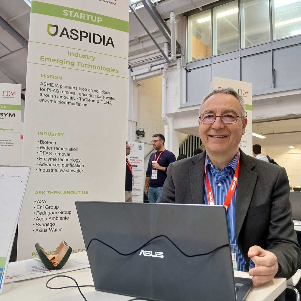 Aspidia